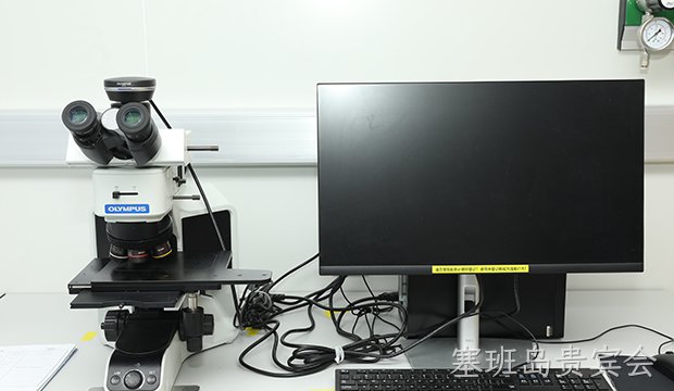 光学显微镜